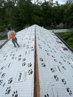 Slide of Proline Contracting