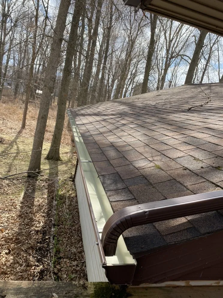 Slide of Proline Gutters