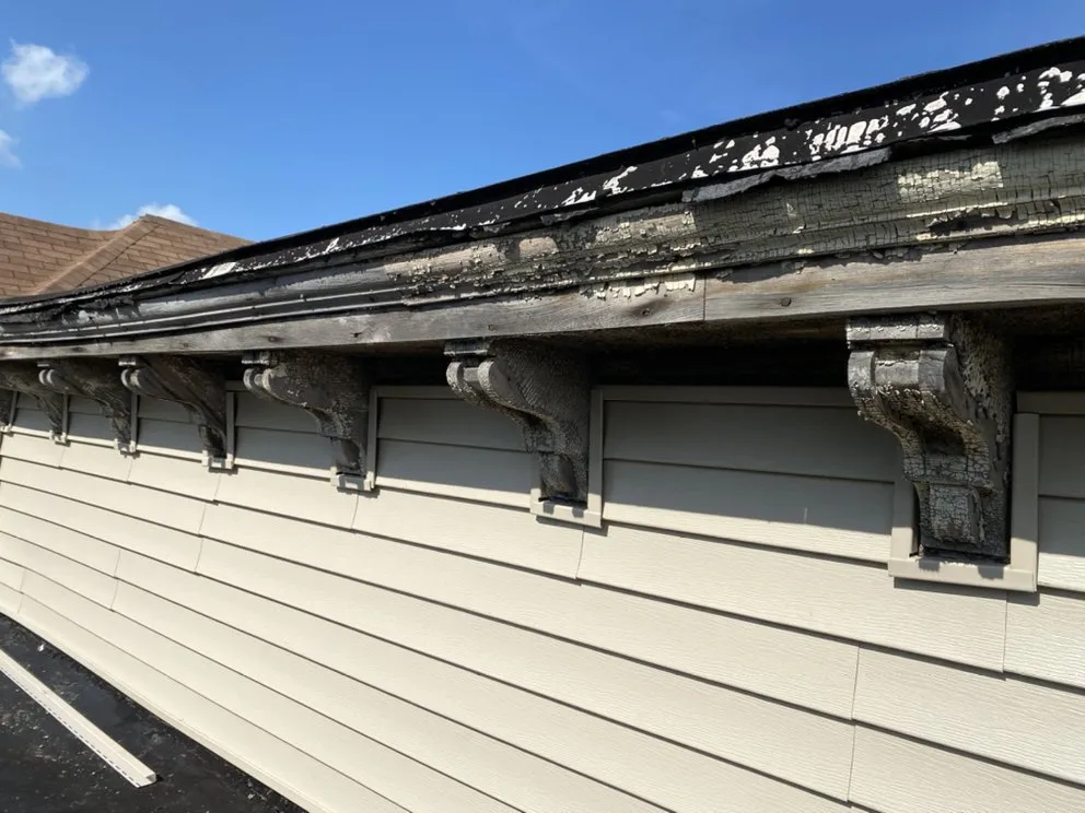 Slide of Proline Gutters