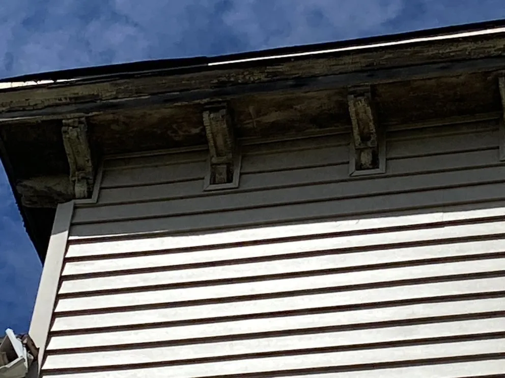 Slide of Proline Gutters