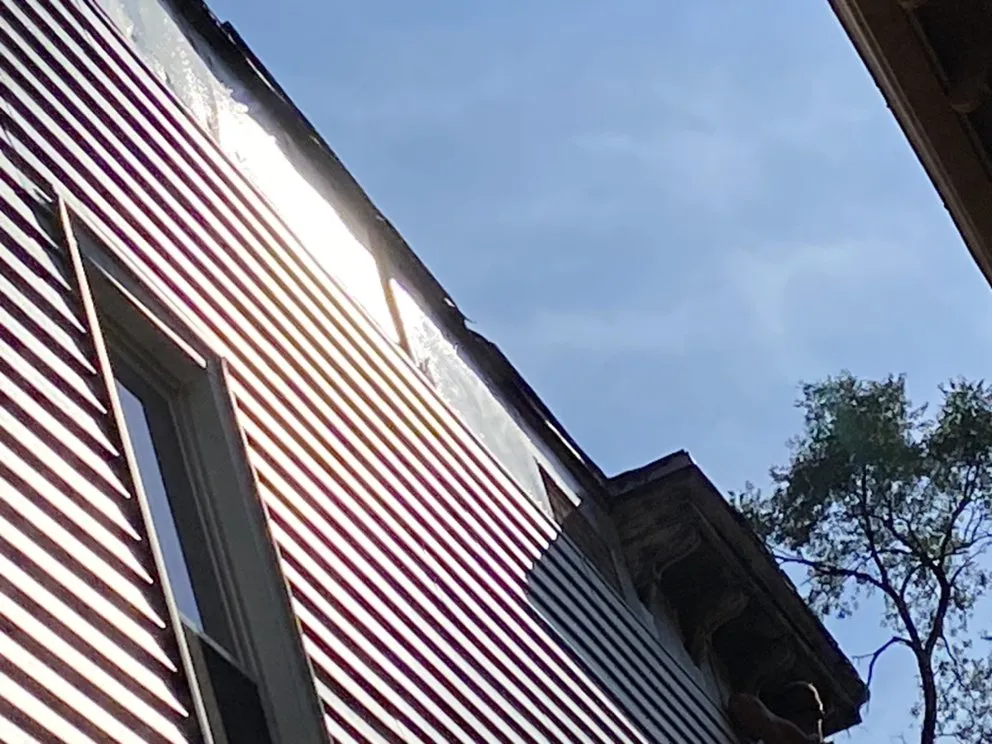 Slide of Proline Gutters