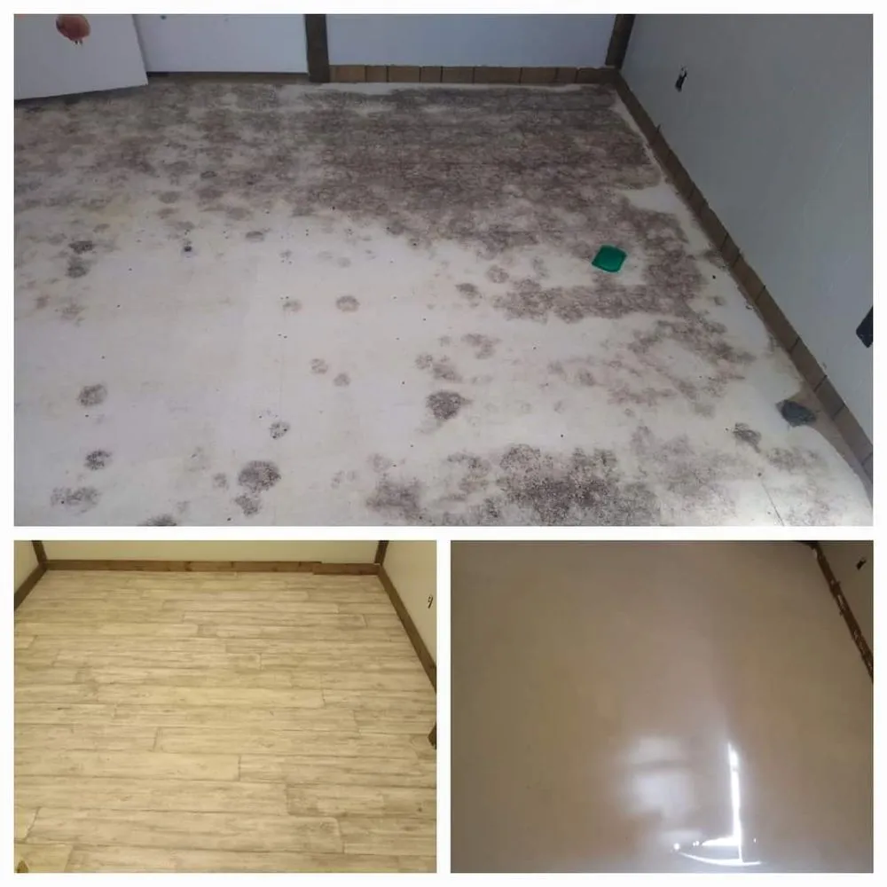 Slide of Proline Roofing