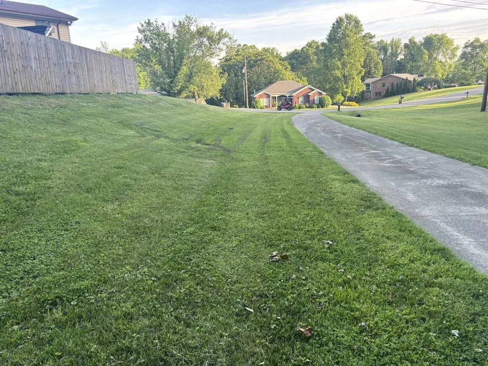 Slide of Prominent Works