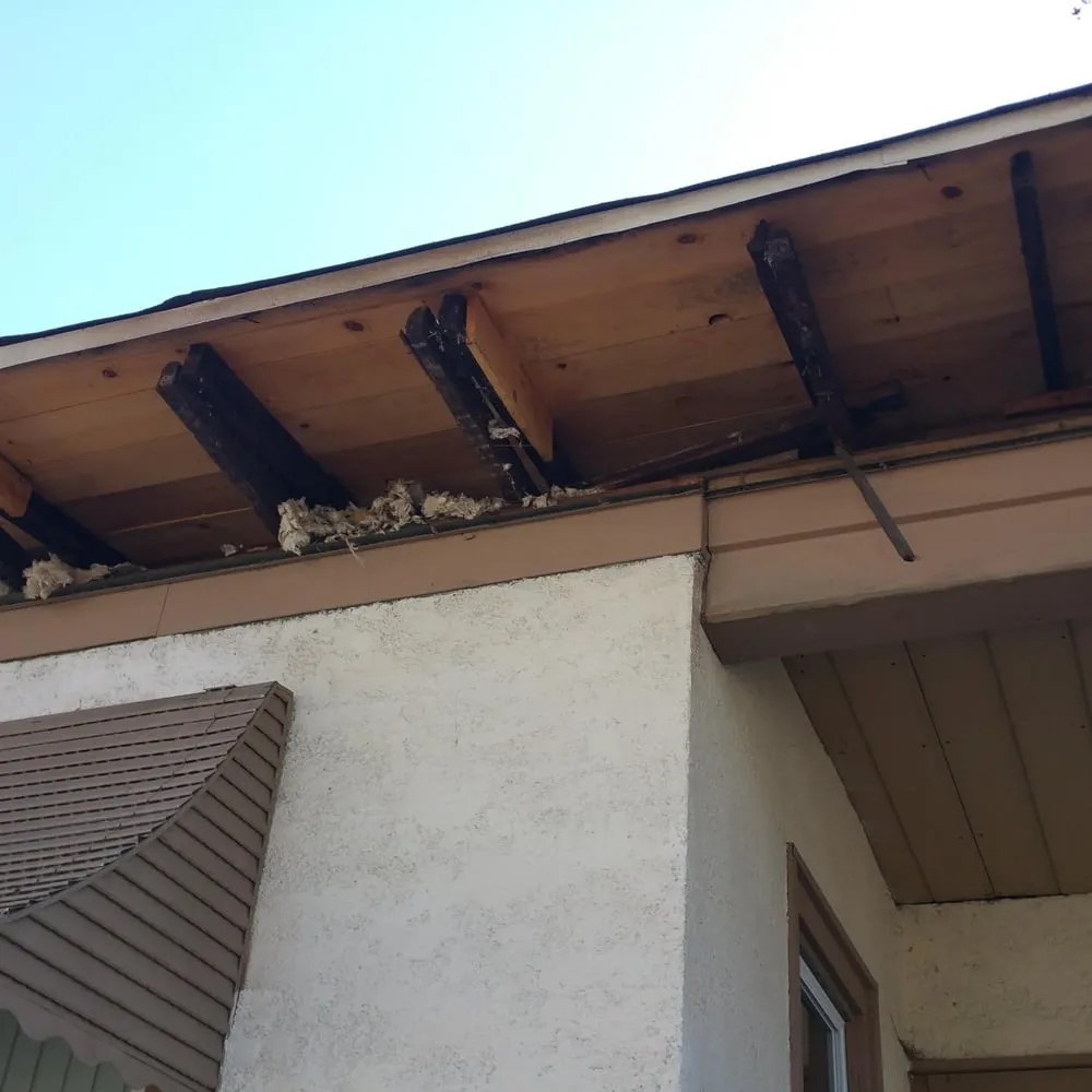 Slide of Property Protectors TBC