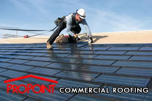 ProPoint Roofing & Construction