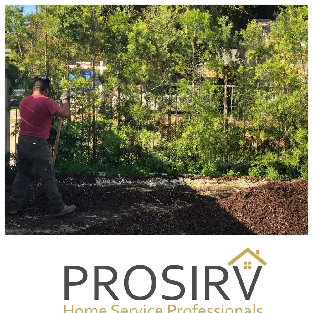 Slide of Prosirv