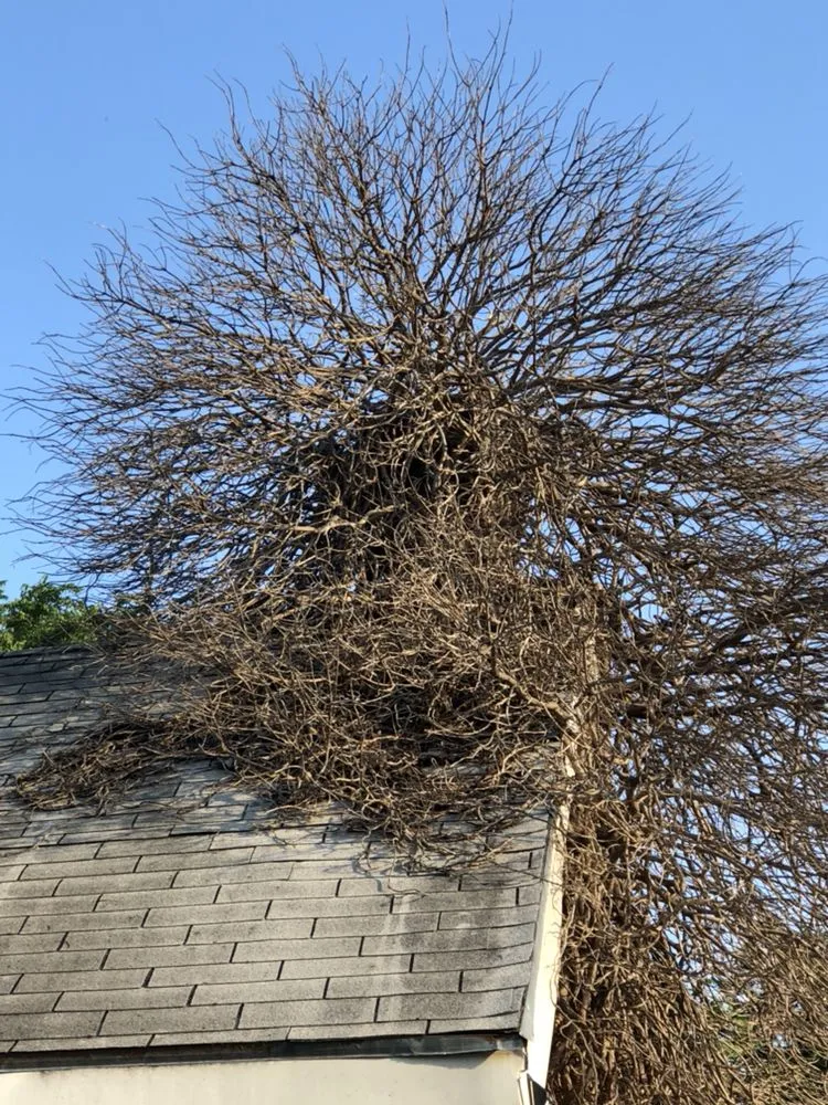 Slide of ProStar Roofing & Restoration