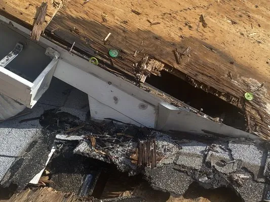 Protech Roofing Services, LLC Logo