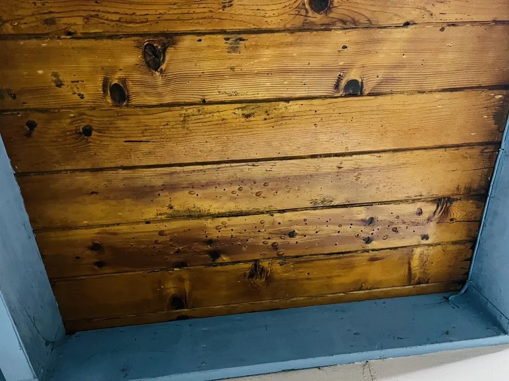 Slide of Protecta Roofing