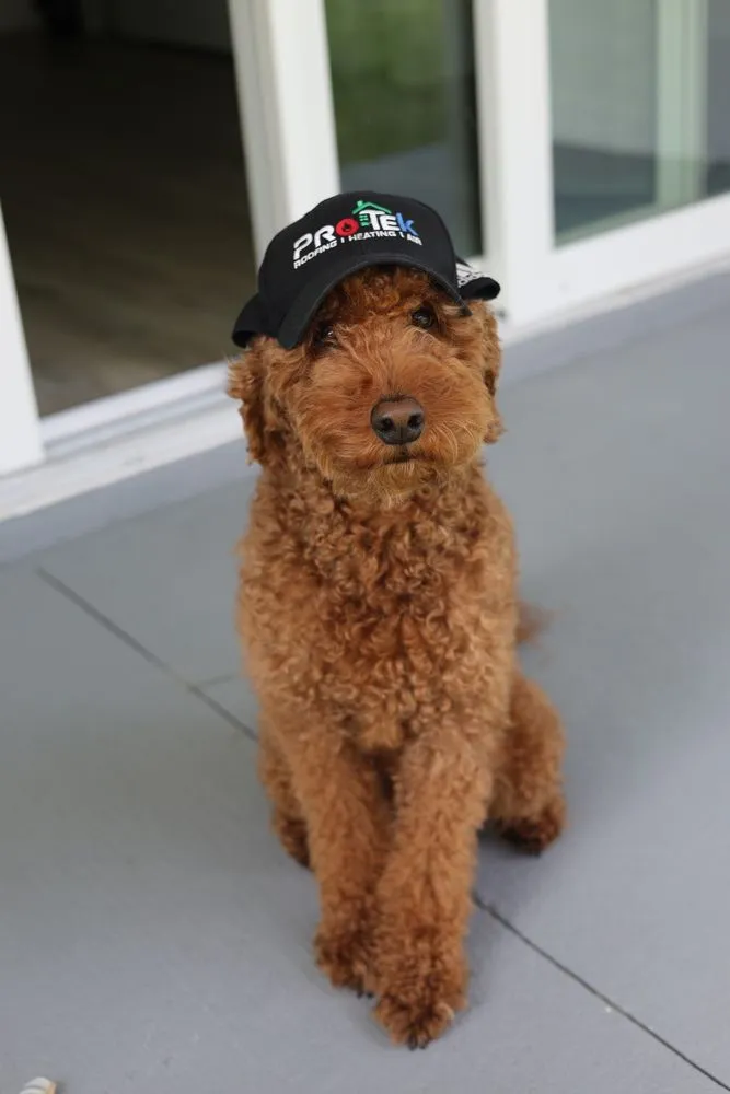 Slide of Protek Roofing, Heating, Air & Solar