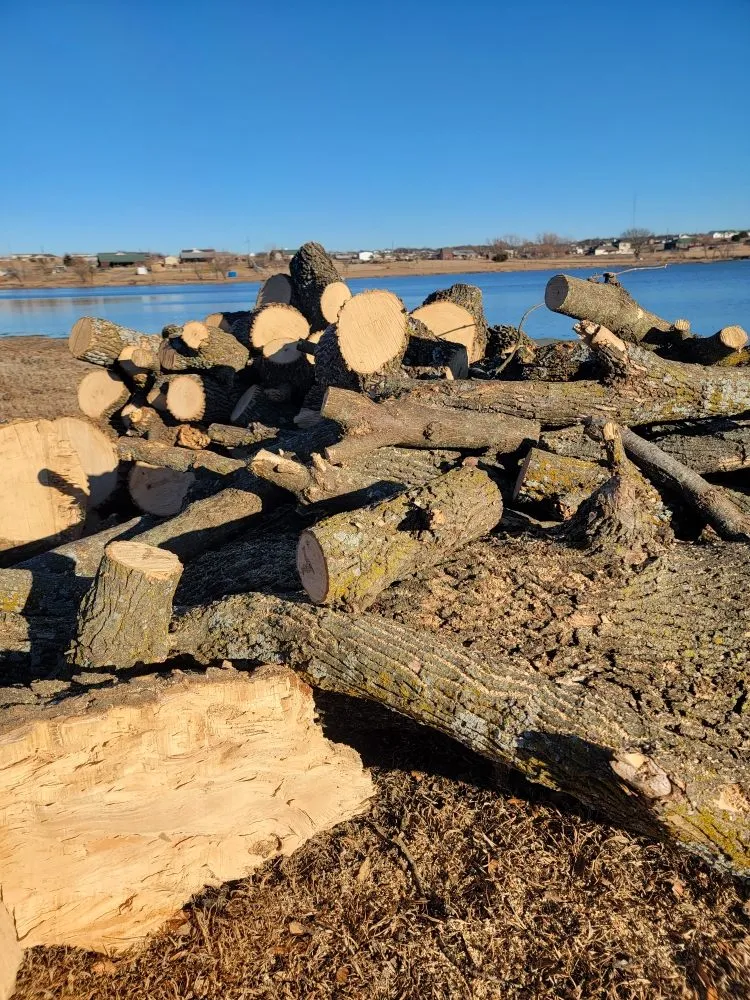 Slide of ProTex restoration and construction