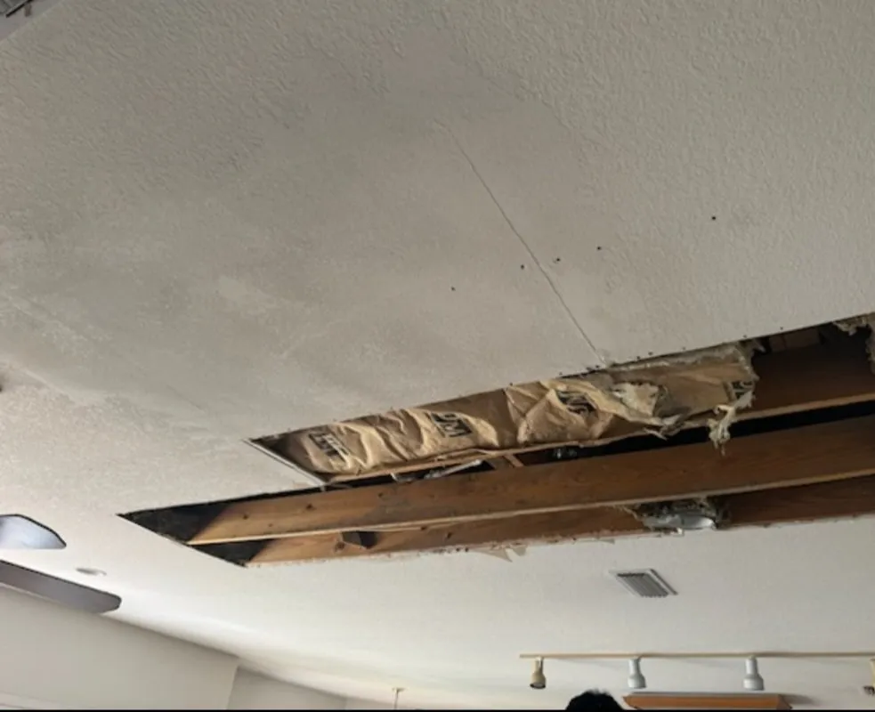 Licensed shingle roofing service in Bynum, TX by Prov Ant