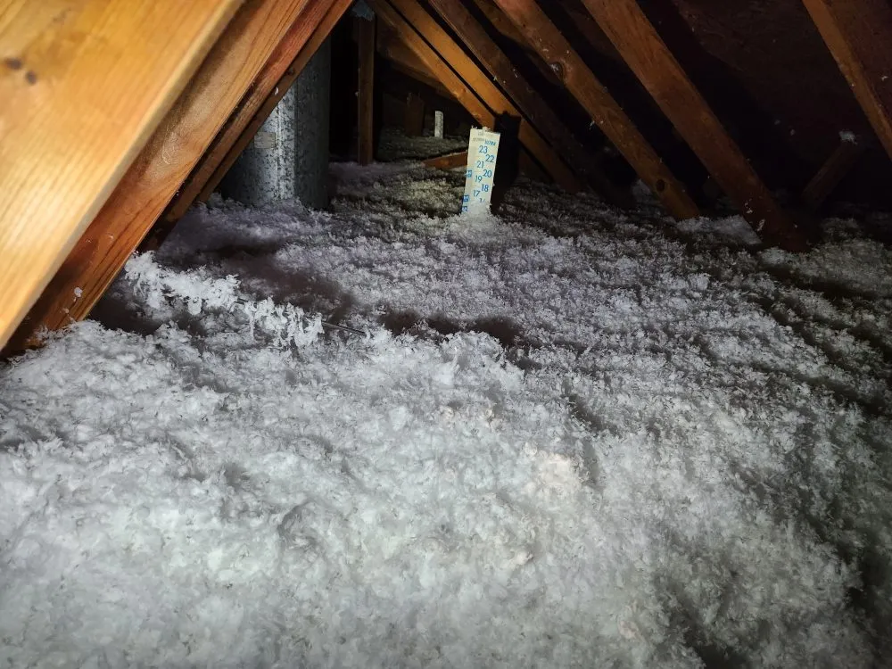 Professional flat roof repair experts serving Bynum, TX - Prov Ant