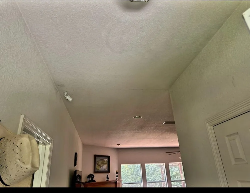 Local roof inspection experts serving Bynum, TX - Prov Ant