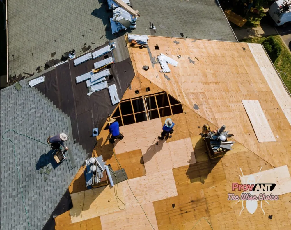 Expert flat roof repair experts serving Bynum, TX - Prov Ant