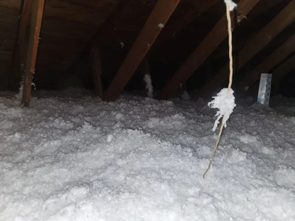Trusted roof installation experts serving Bynum, TX - Prov Ant
