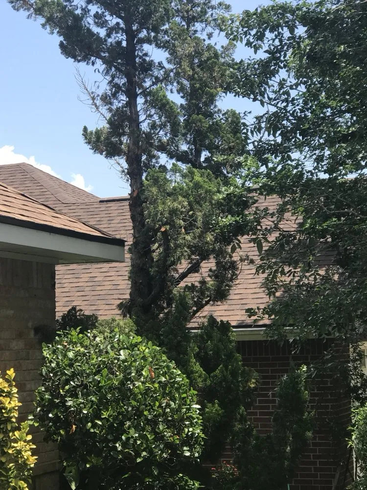 Slide of Proverbs Roofing