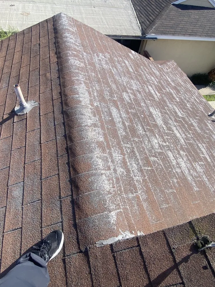 Slide of Proxy Roofer