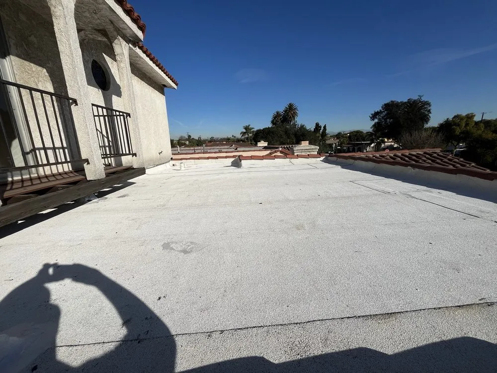 Slide of Proxy Roofer