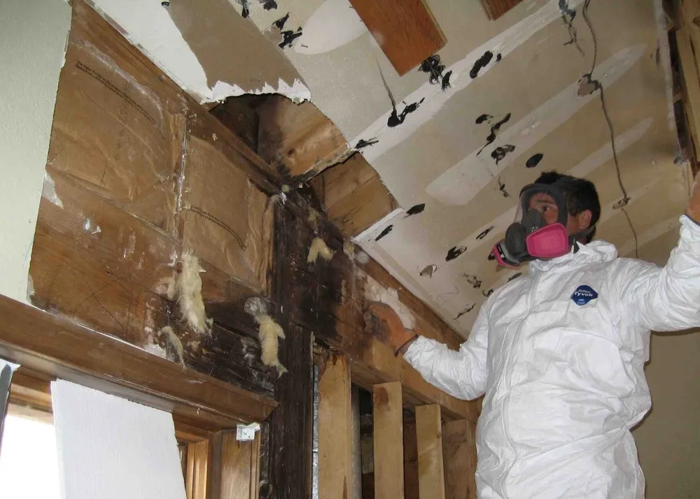 Slide of PRS Construction