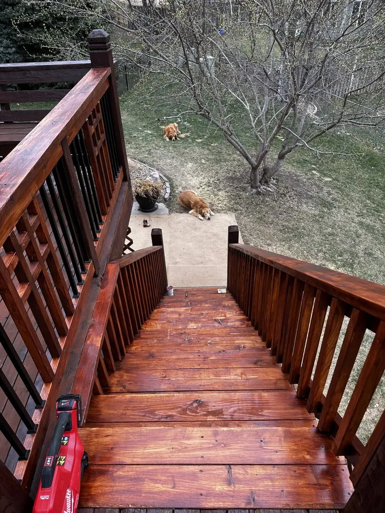 Slide of Puga construction