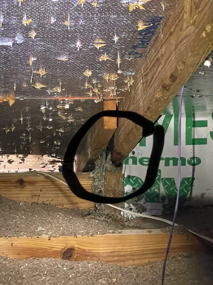 Slide of Pulse Roofing and Restoration