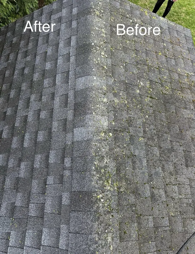 Slide of Pure Cleaning