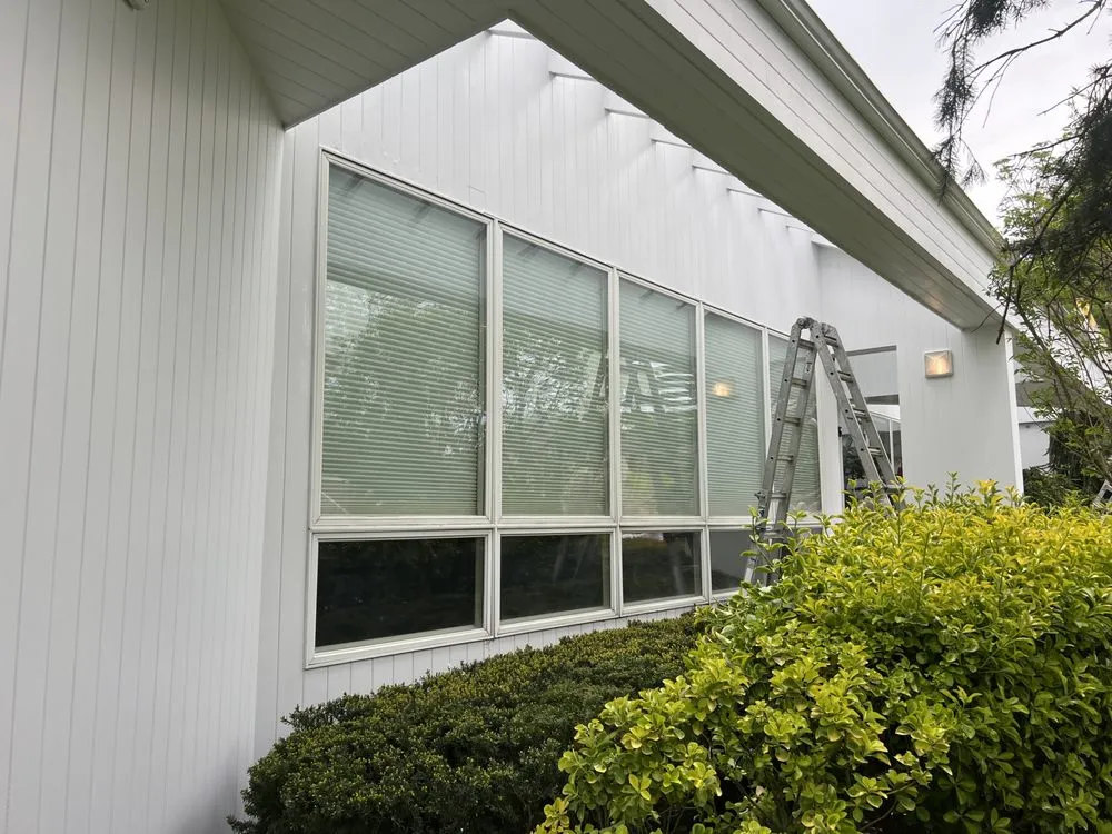 Slide of Pure Cleaning