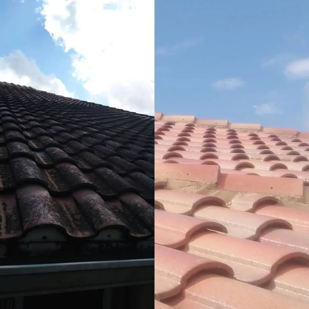 Slide of Pure Flow Soft Wash and Pressure Washing