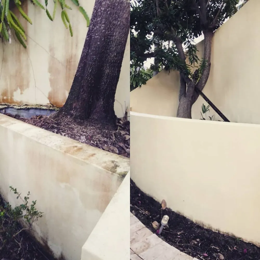 Slide of Pure Flow Soft Wash and Pressure Washing
