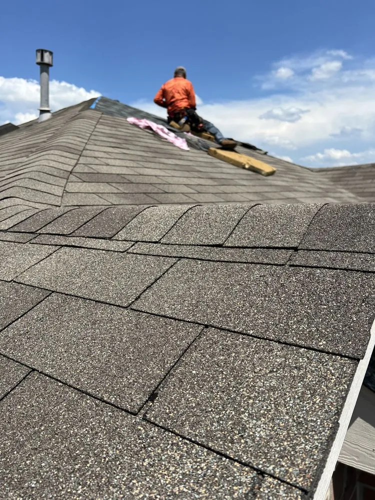 Slide of Pure Life Designs