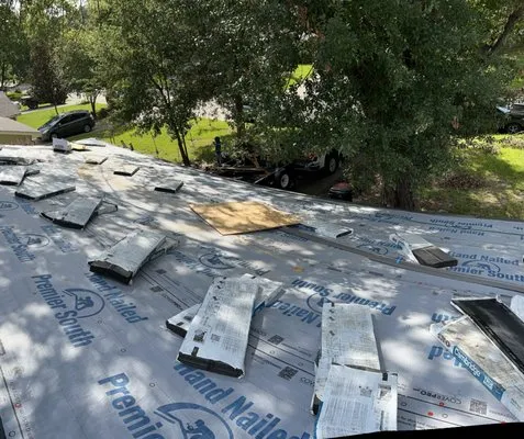 Pure Life Designs Logo