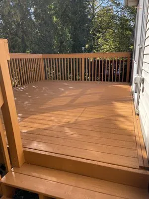 Pure Life Solutions Logo