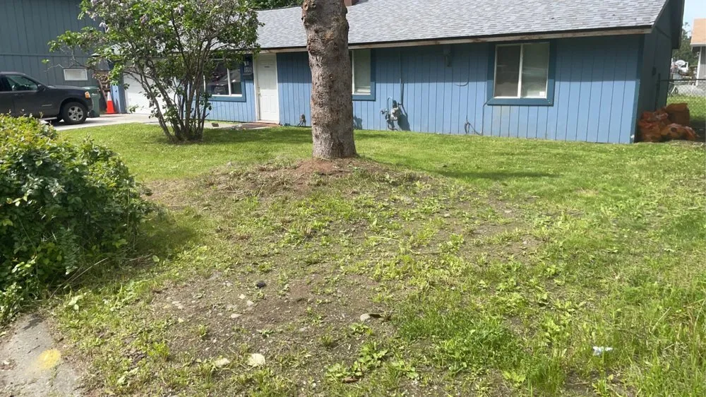 Slide of Pure Pressure