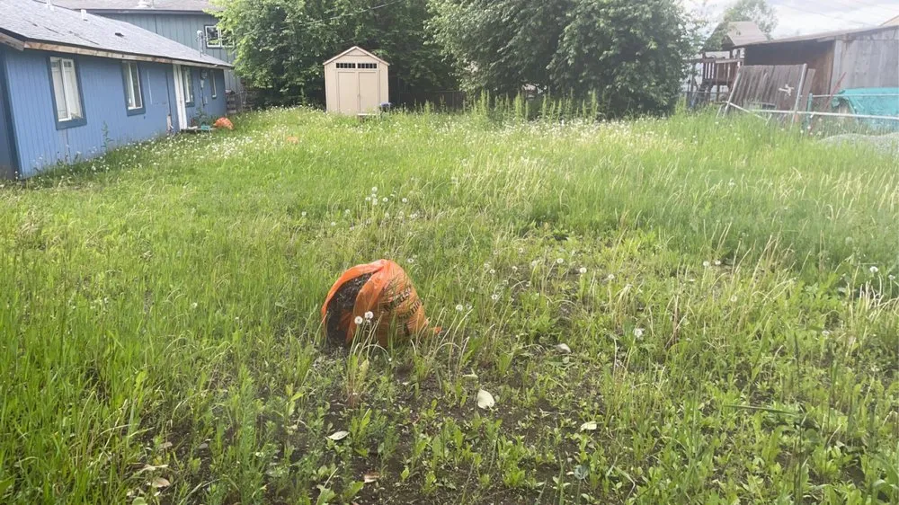 Slide of Pure Pressure