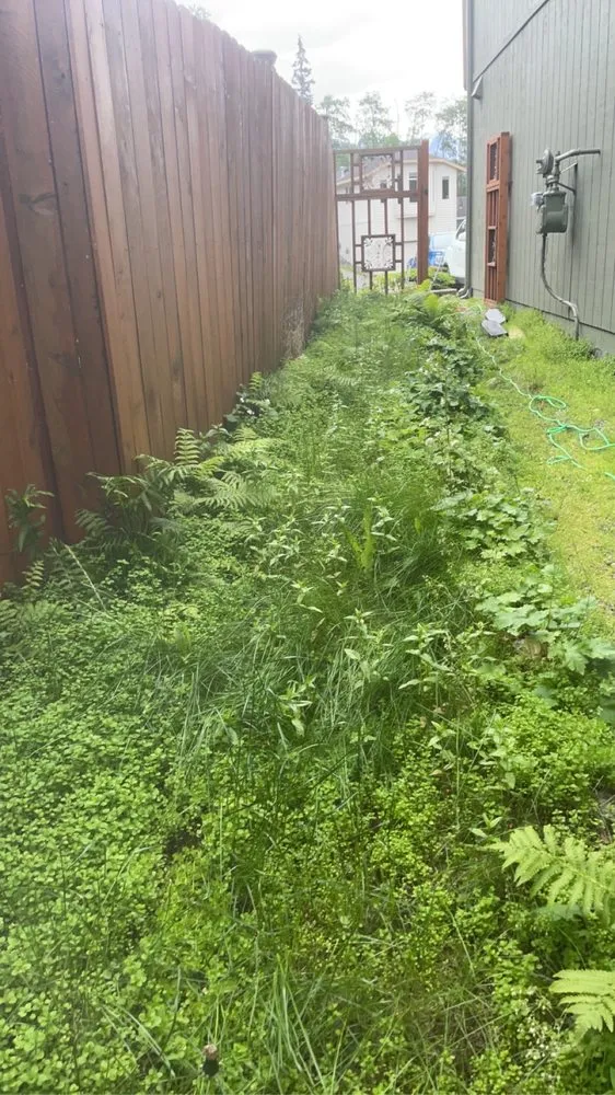 Slide of Pure Pressure