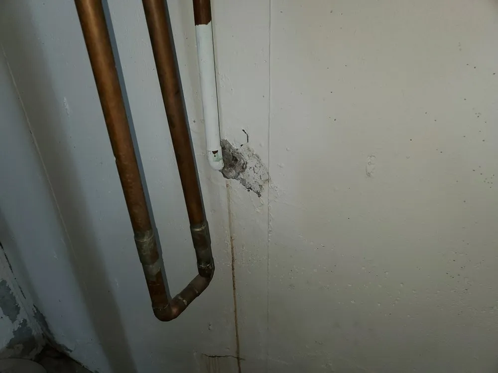 Slide of Pure State Services