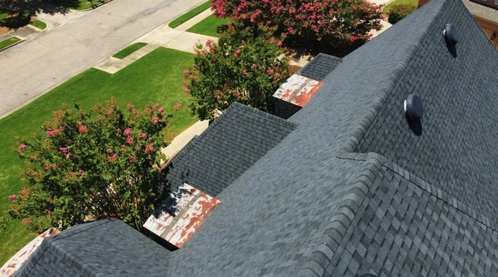 Slide of Purple Turtle Roofing