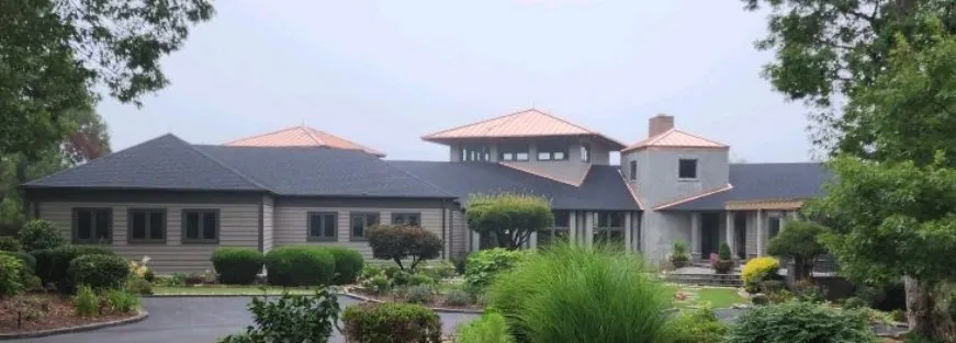 Slide of Purple Turtle Roofing