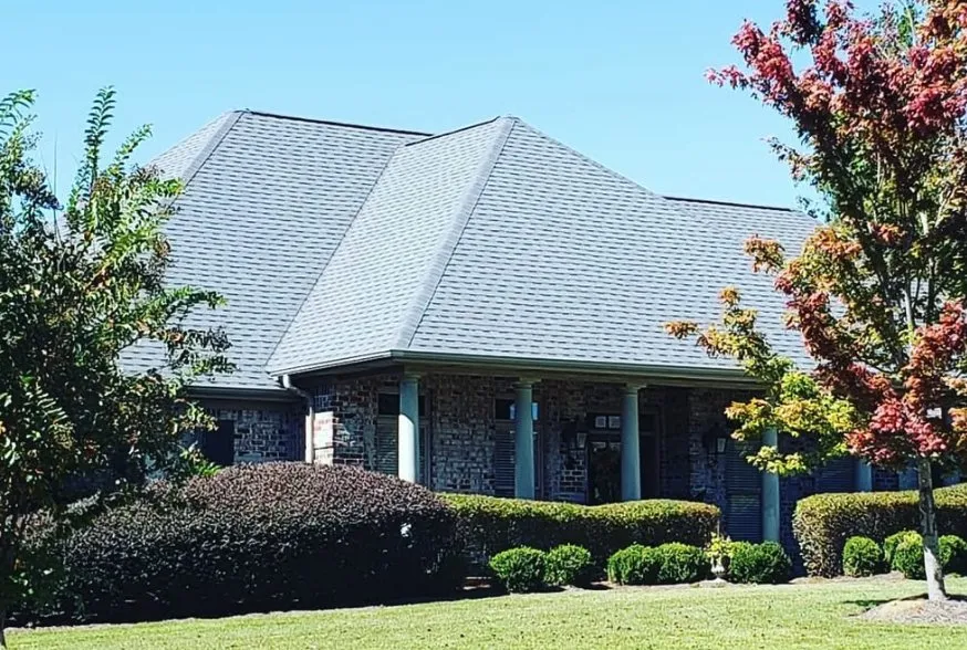 Slide of Purple Turtle Roofing