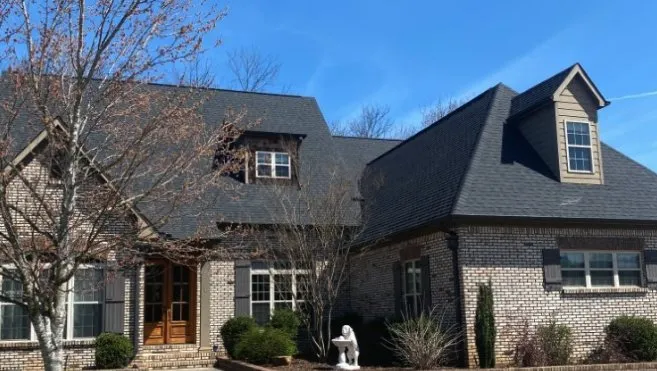 Slide of Purple Turtle Roofing