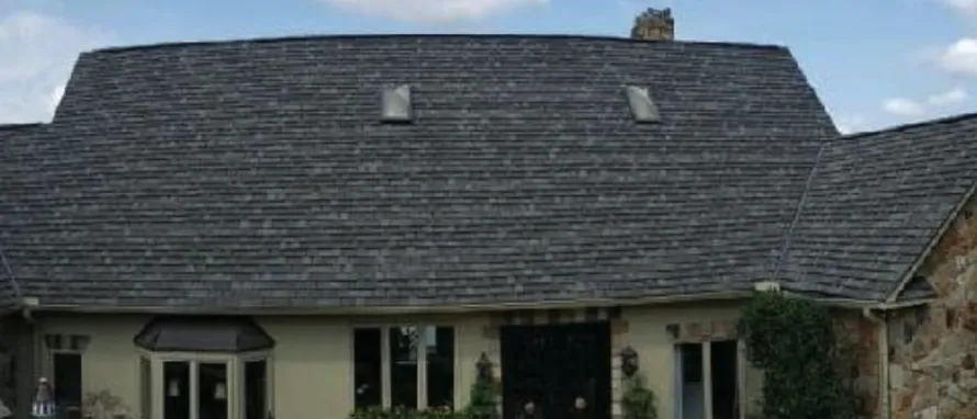 Slide of Purple Turtle Roofing