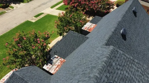 Purple Turtle Roofing