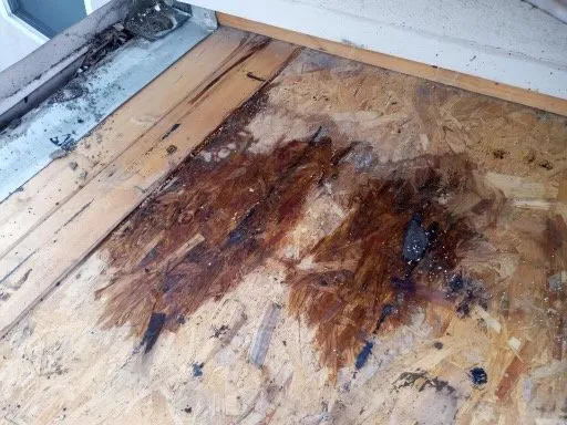 Slide of Purpose Roofing and Waterproofing