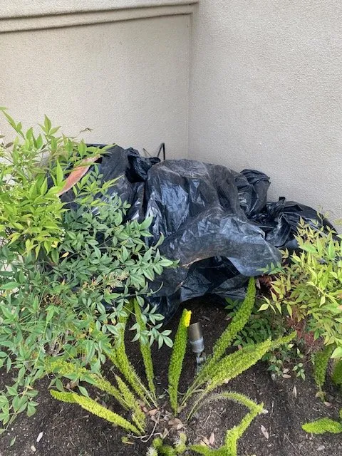 Slide of Purpose Roofing and Waterproofing