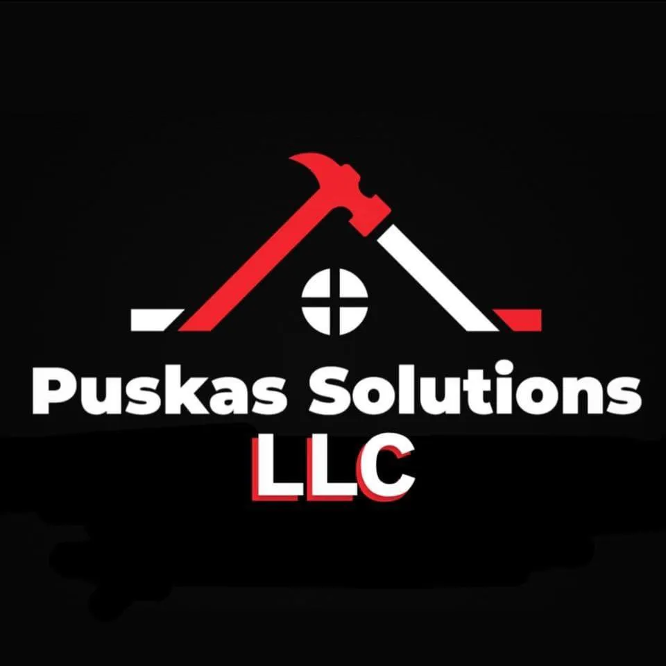 Slide of Puska's Solutions