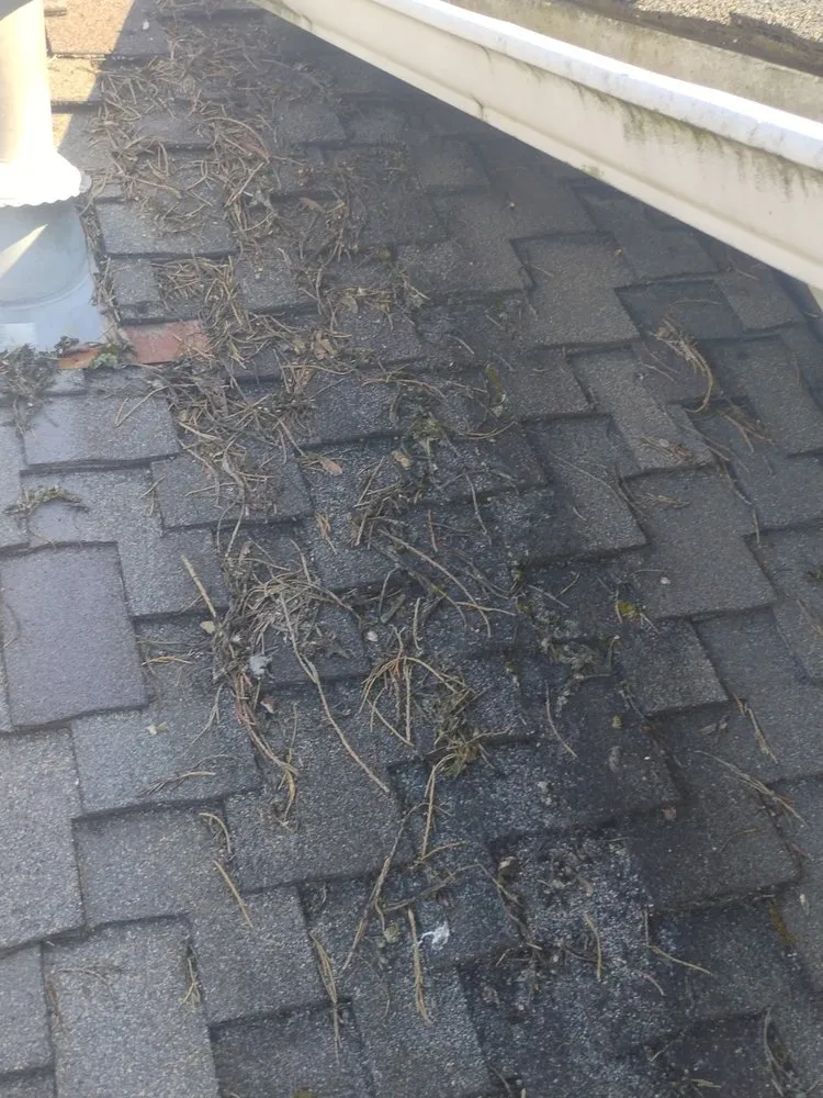 Slide of Puyallup Roofing