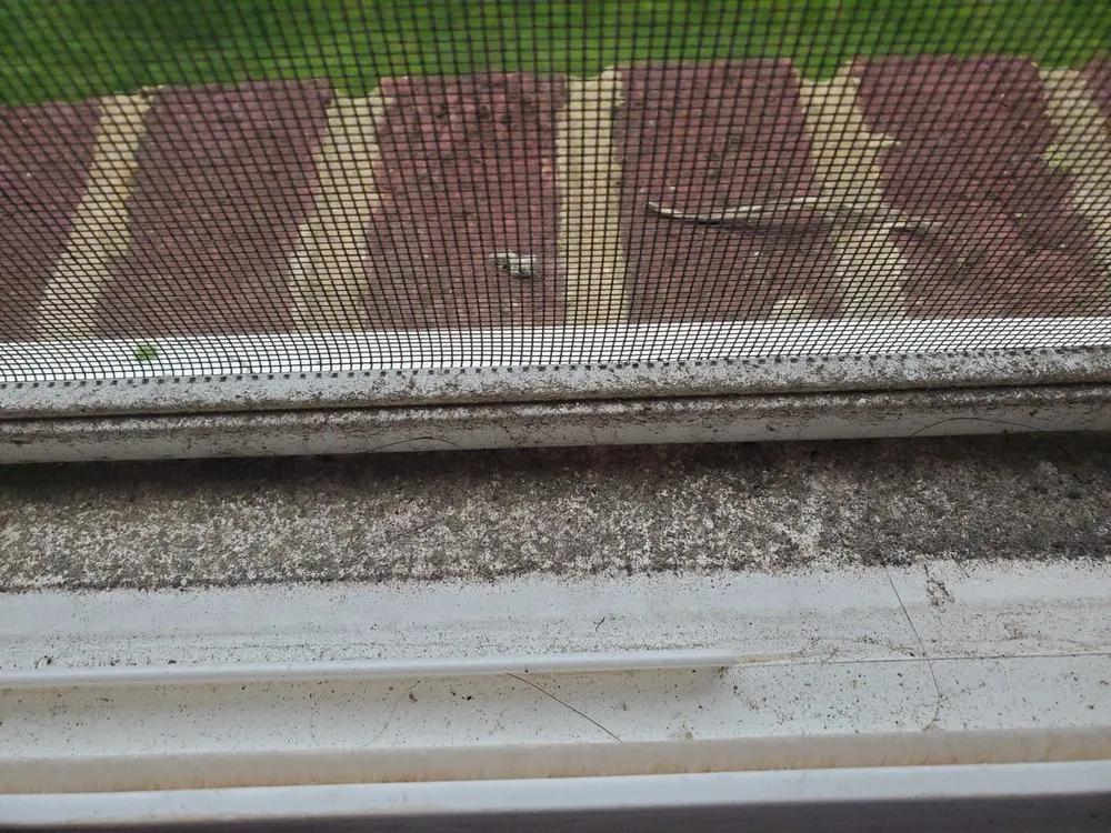 Slide of PWC Services