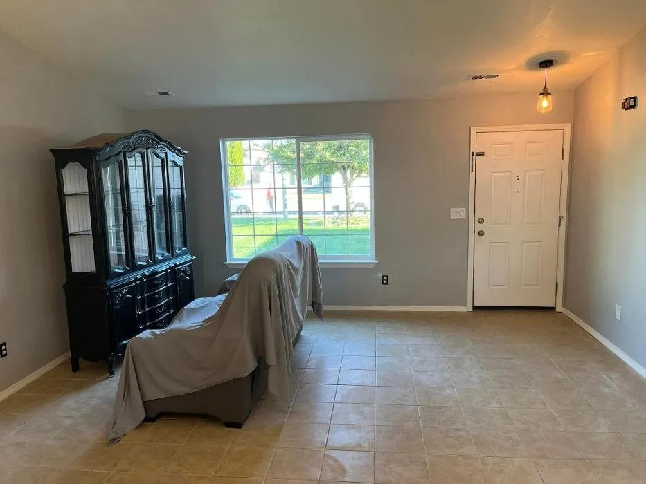 Slide of Pyramid Painting and Construction