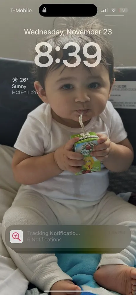 Slide of Pyramid Roofing